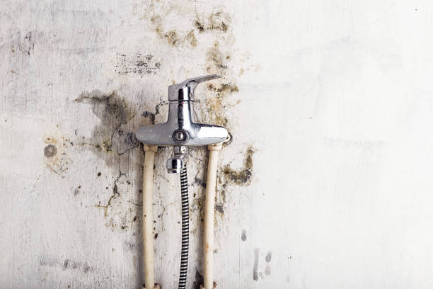 Best Mold Cleaning Services  in Castle Point, MO