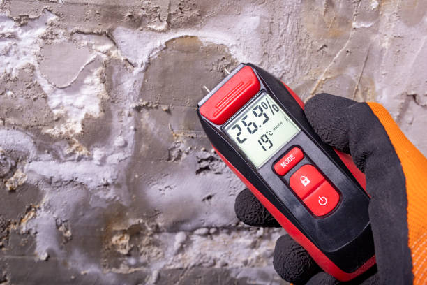 Best Mold Testing  in Castle Point, MO