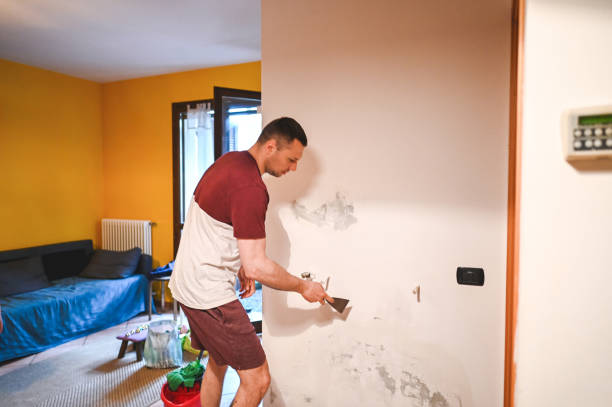 Best Crawl Space Mold Removal  in Castle Point, MO