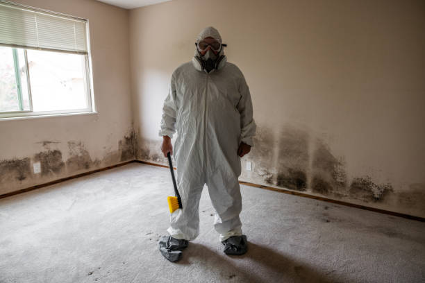 Best Professional Mold Removal  in Castle Point, MO
